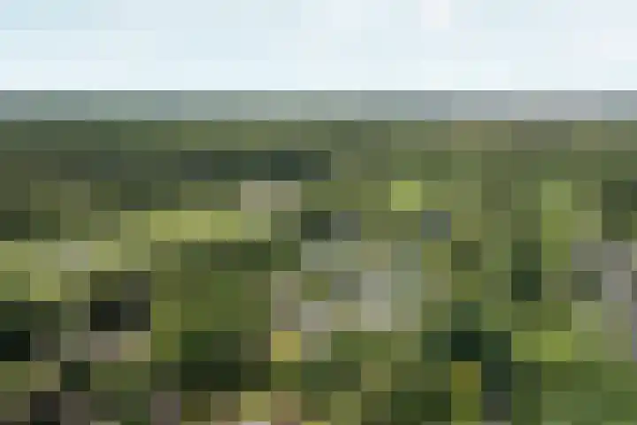 Wielewaallaan 11 Almere thumbnail 64