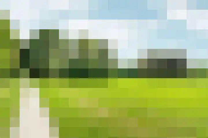 Wielewaallaan 11 Almere thumbnail 65