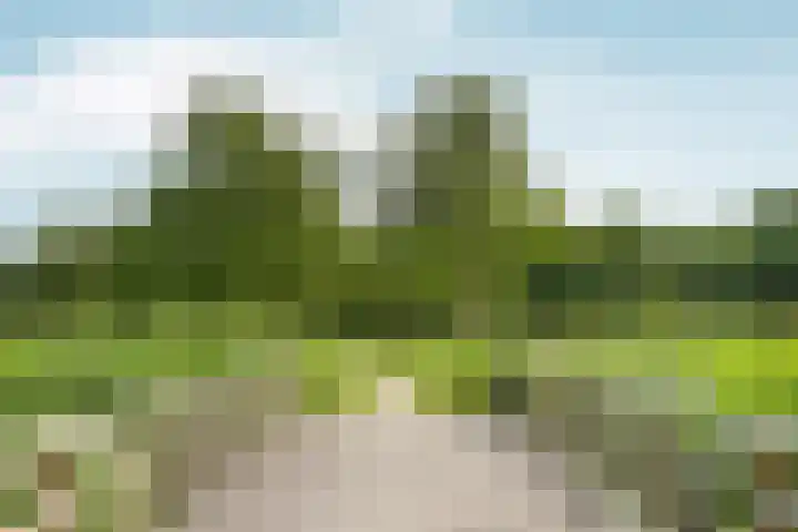 Wielewaallaan 11 Almere thumbnail 66