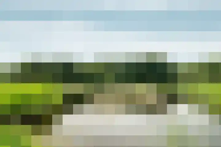 Wielewaallaan 11 Almere thumbnail 67