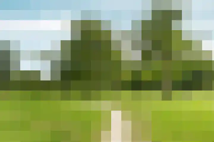Wielewaallaan 11 Almere thumbnail 68