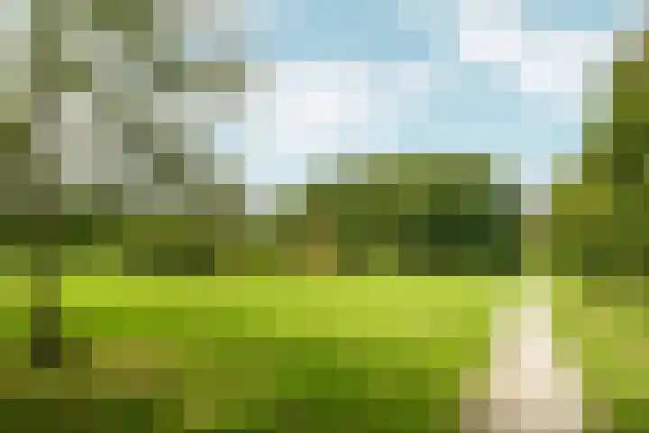 Wielewaallaan 11 Almere thumbnail 69