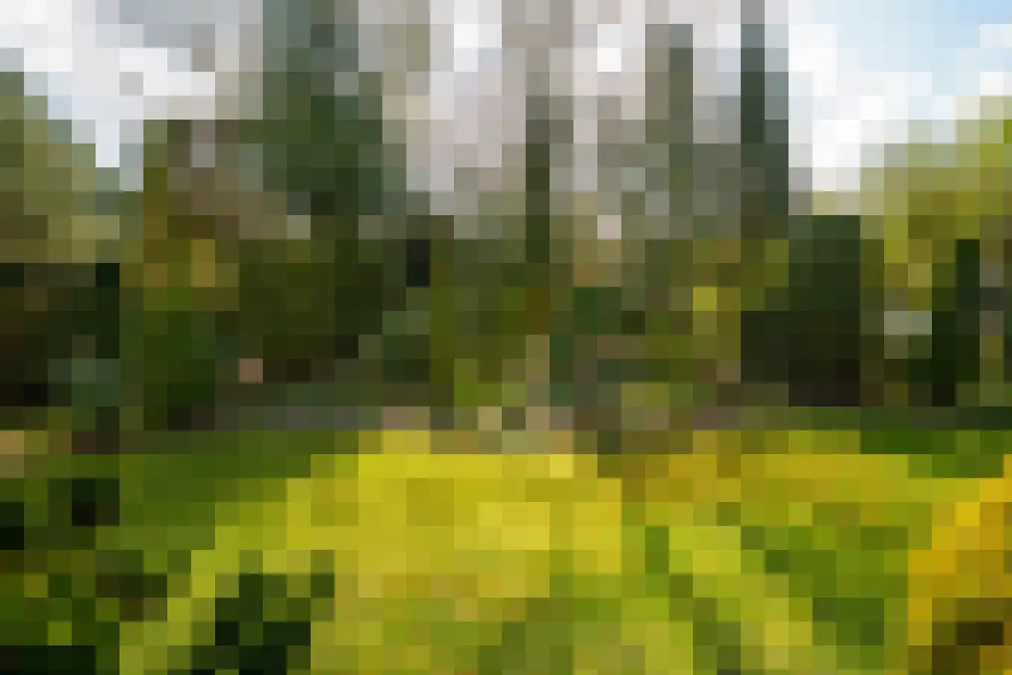 Wielewaallaan 2 Almere thumbnail 45