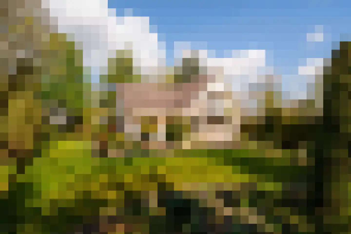 Wielewaallaan 2 Almere thumbnail 50