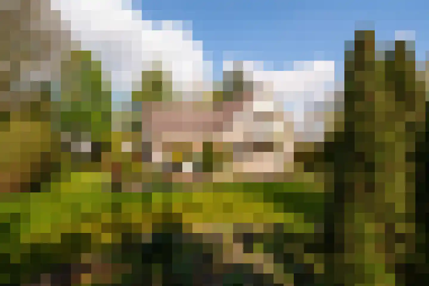 Wielewaallaan 2 Almere thumbnail 51
