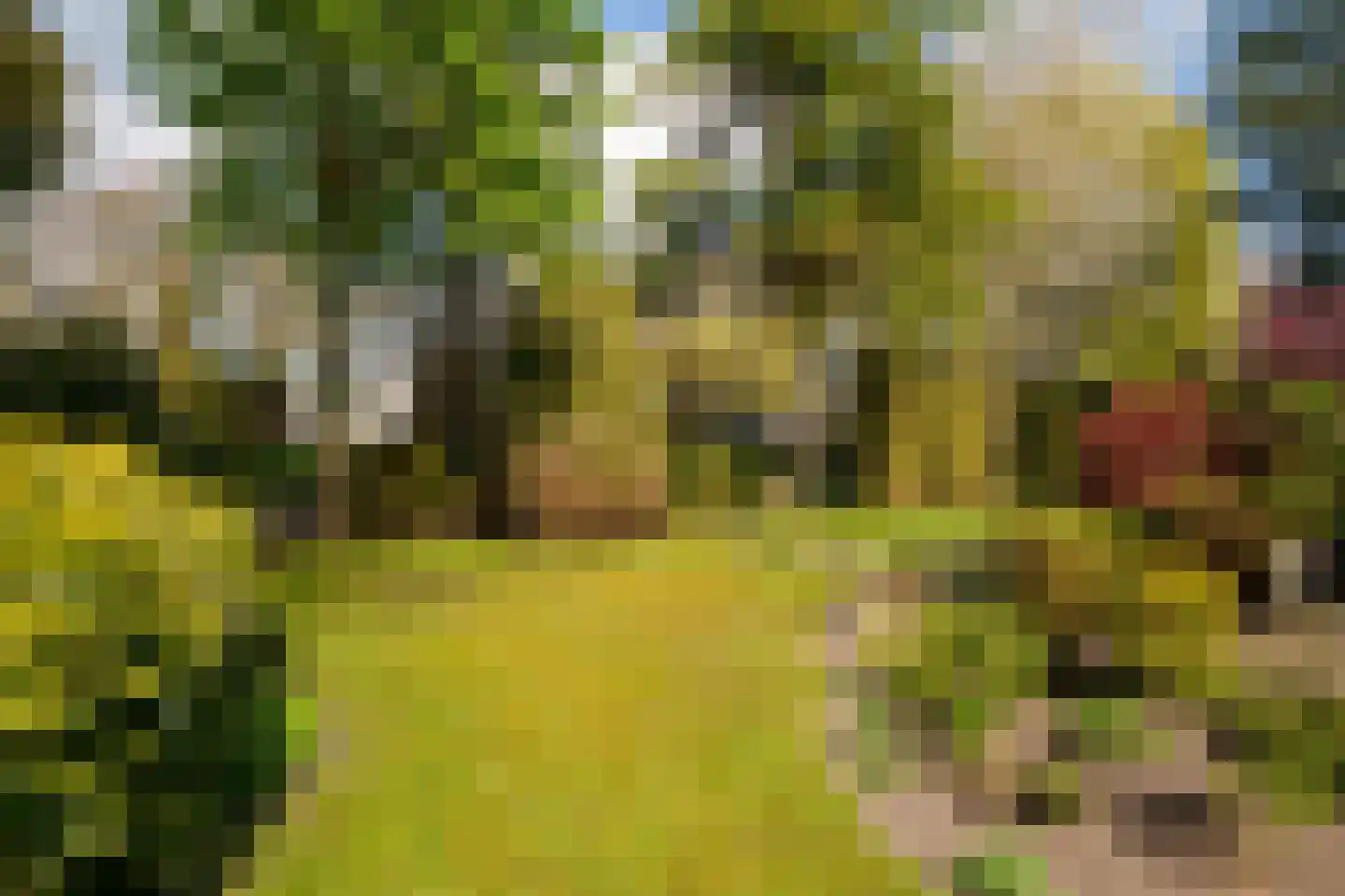 Wielewaallaan 2 Almere thumbnail 57