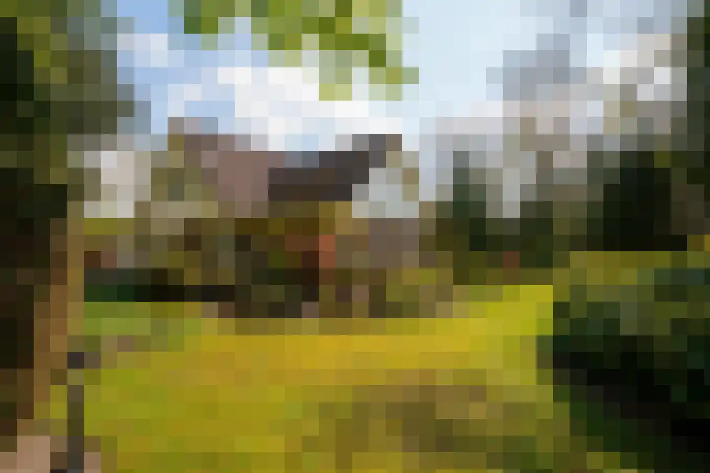 Wielewaallaan 2 Almere thumbnail 58