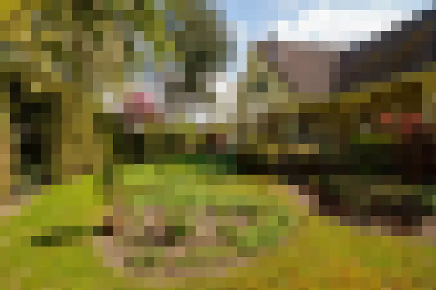 Wielewaallaan 2 Almere thumbnail 59