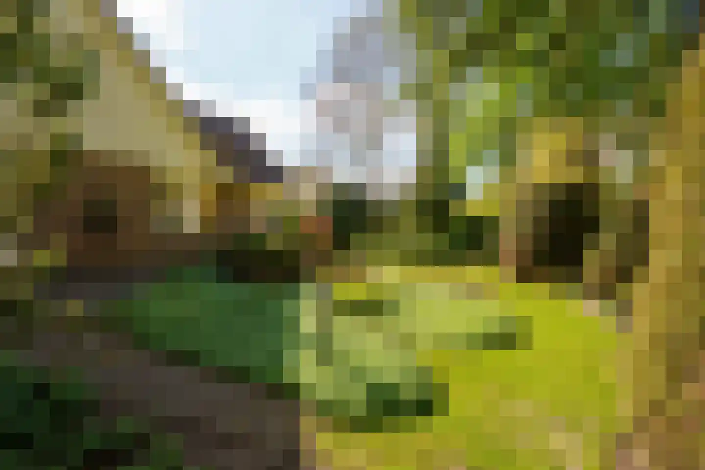 Wielewaallaan 2 Almere thumbnail 60