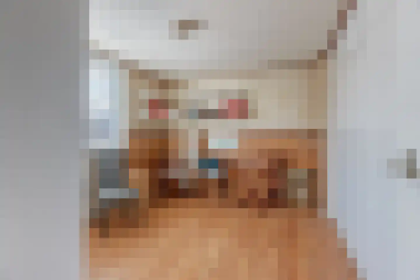 Wielewaallaan 21 Leiderdorp thumbnail 22