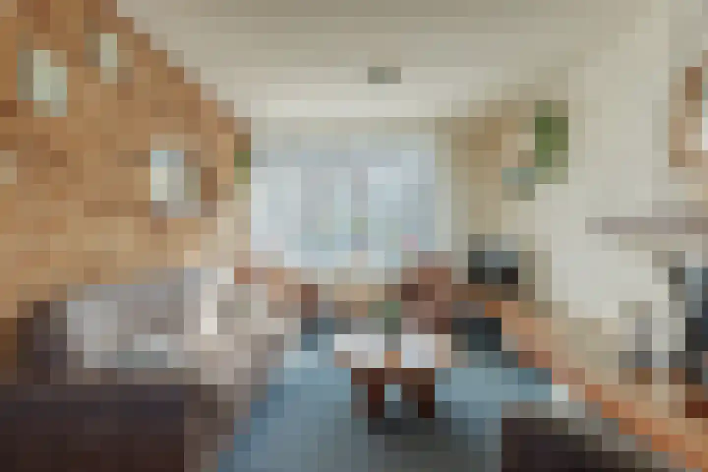 Wielewaallaan 21 Leiderdorp thumbnail 5