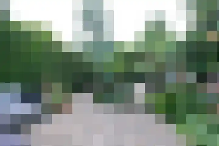 Wielewaallaan 29 Ede thumbnail 25