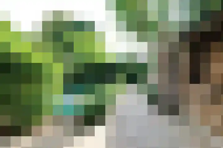 Wielewaallaan 29 Ede thumbnail 26