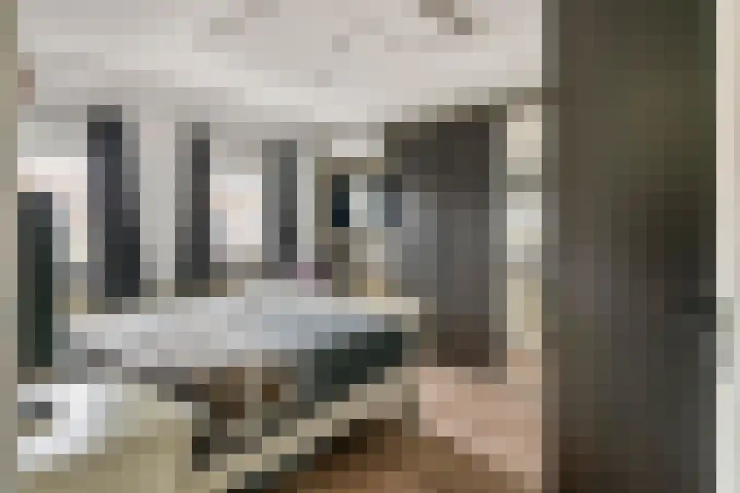 Wielewaallaan 31 Tiel thumbnail 18