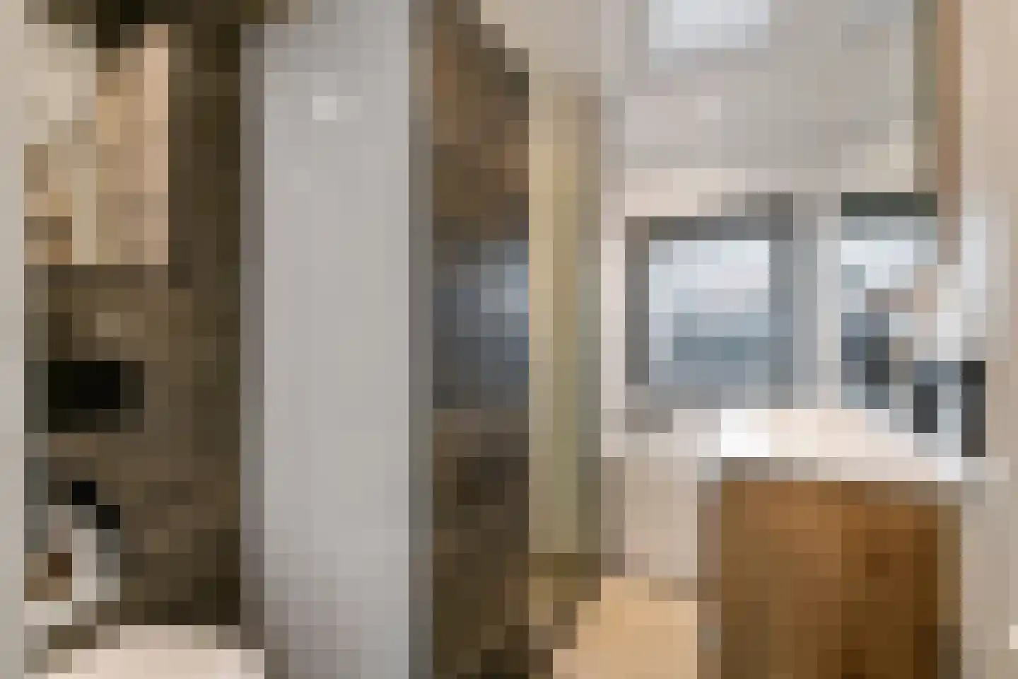 Wielewaallaan 31 Tiel thumbnail 21
