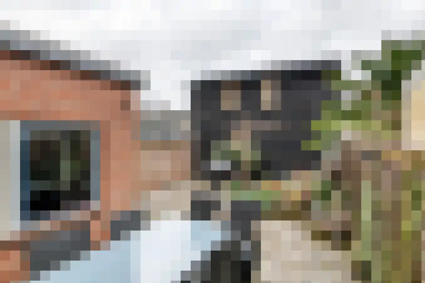 Wielewaallaan 31 Tiel thumbnail 31