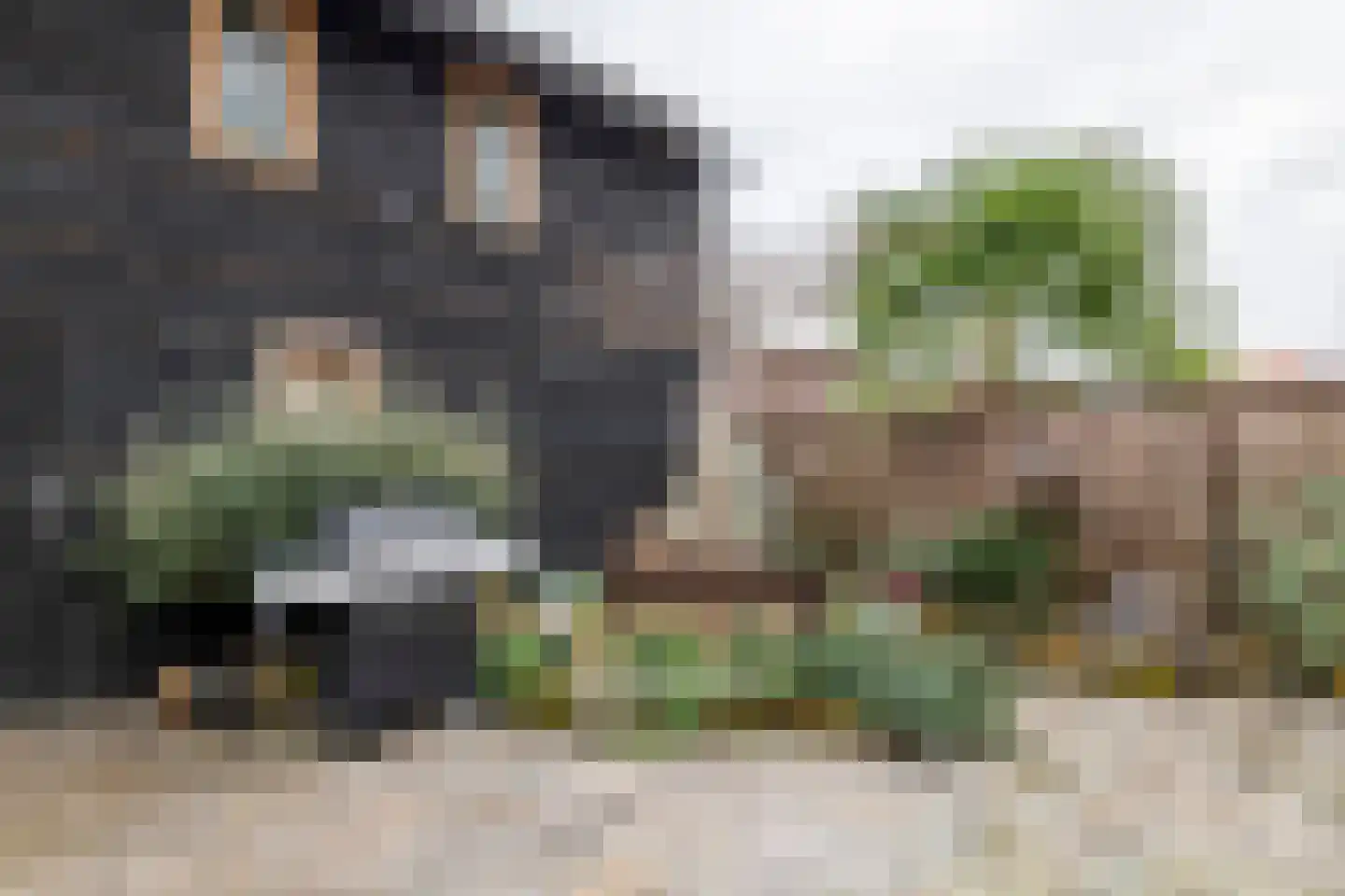 Wielewaallaan 31 Tiel thumbnail 32