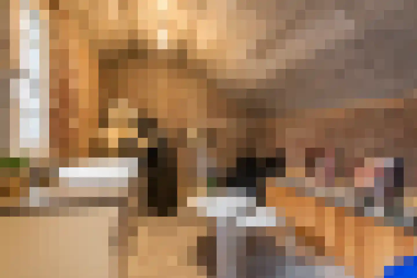 Wielewaallaan 31 Tiel thumbnail 33