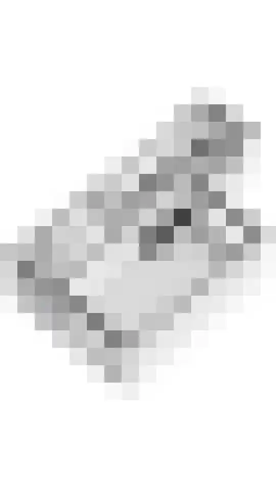 Wielewaallaan 31 Tiel thumbnail 41