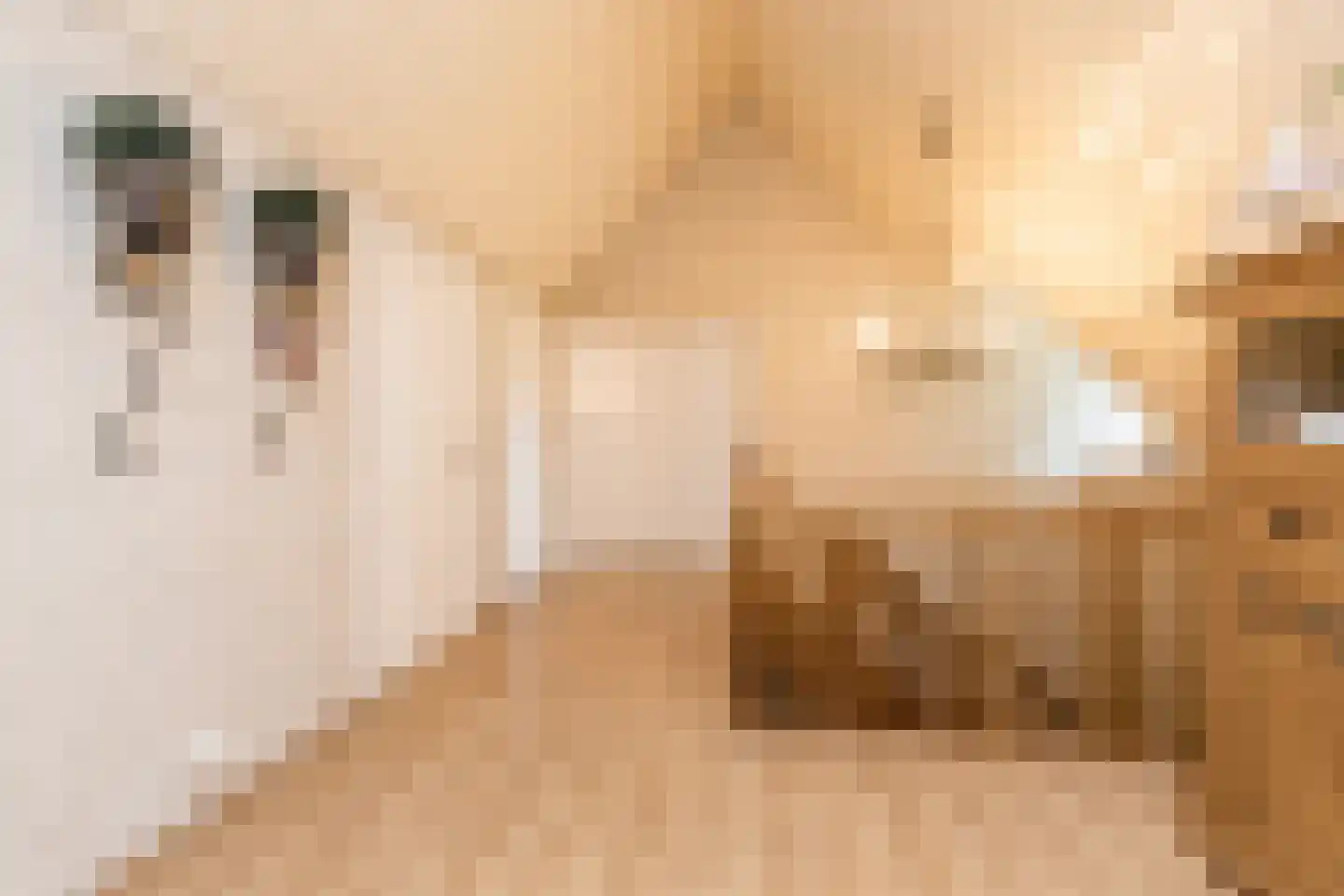 Wielewaallaan 4 Hurwenen thumbnail 34