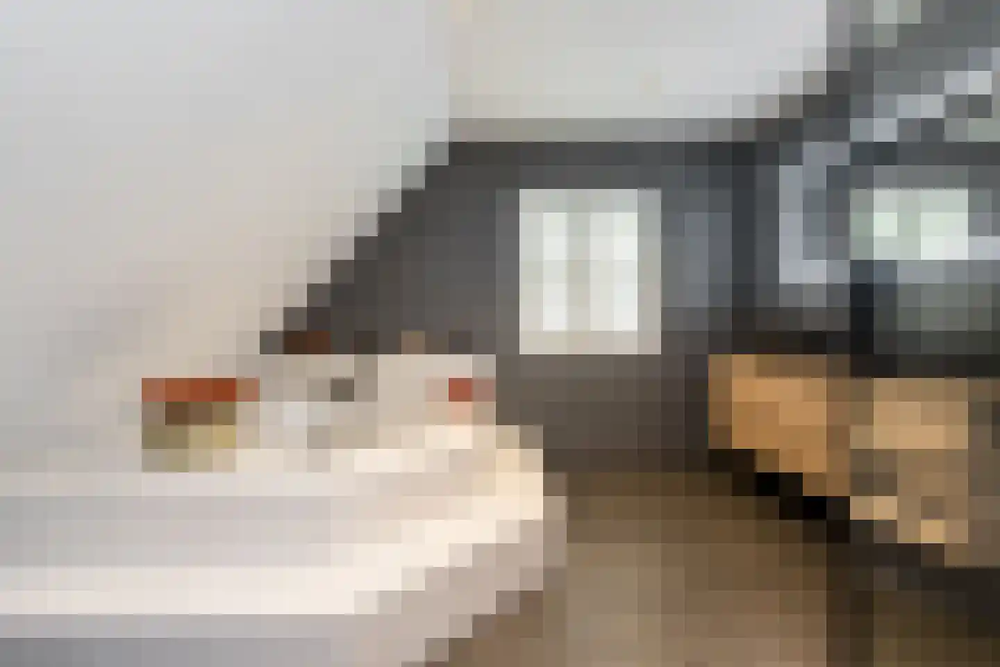 Wielewaallaan 4 Hurwenen thumbnail 46