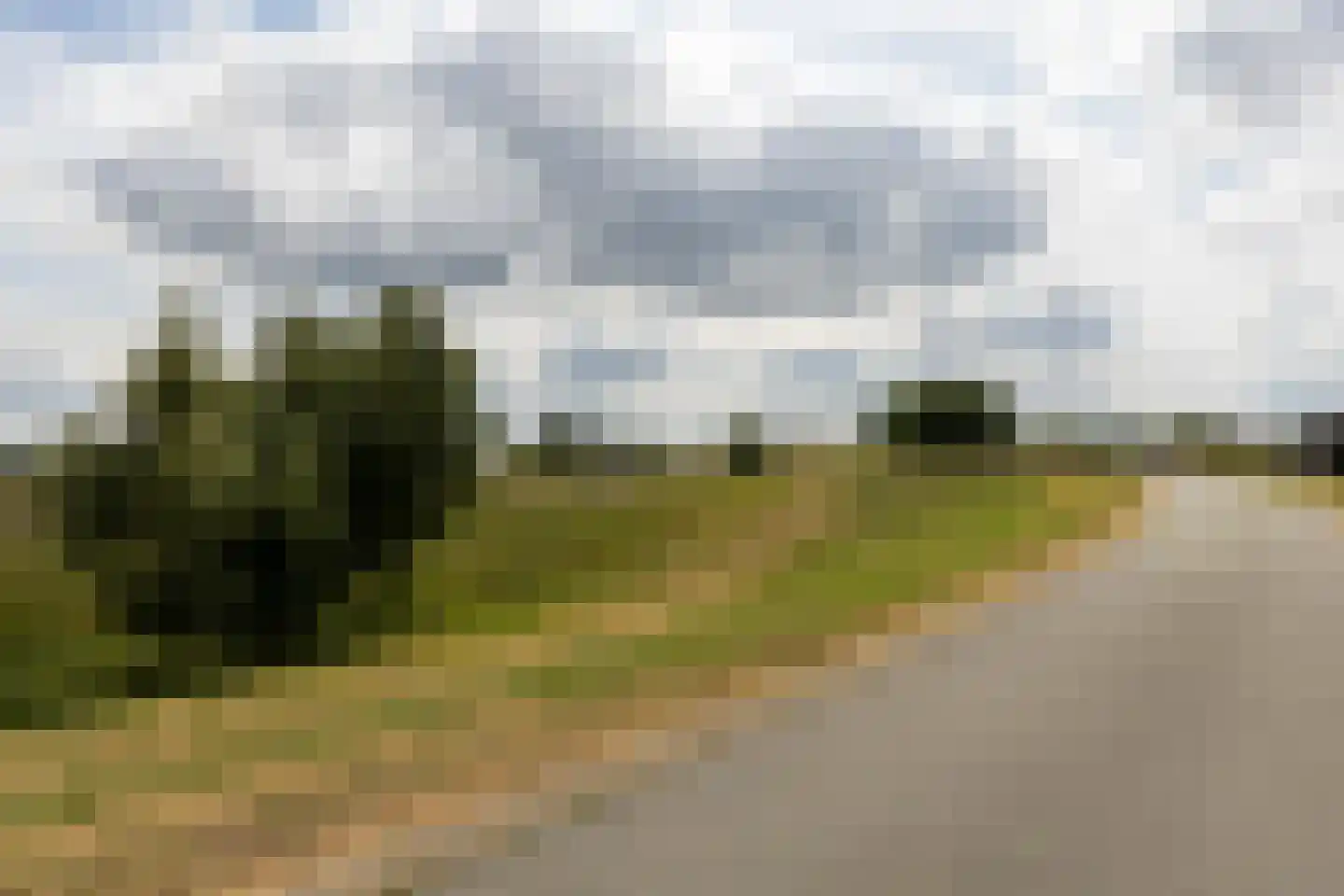 Wielewaallaan 58 Tiel thumbnail 4