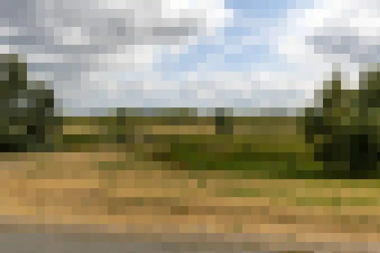 Wielewaallaan 58 Tiel thumbnail 5