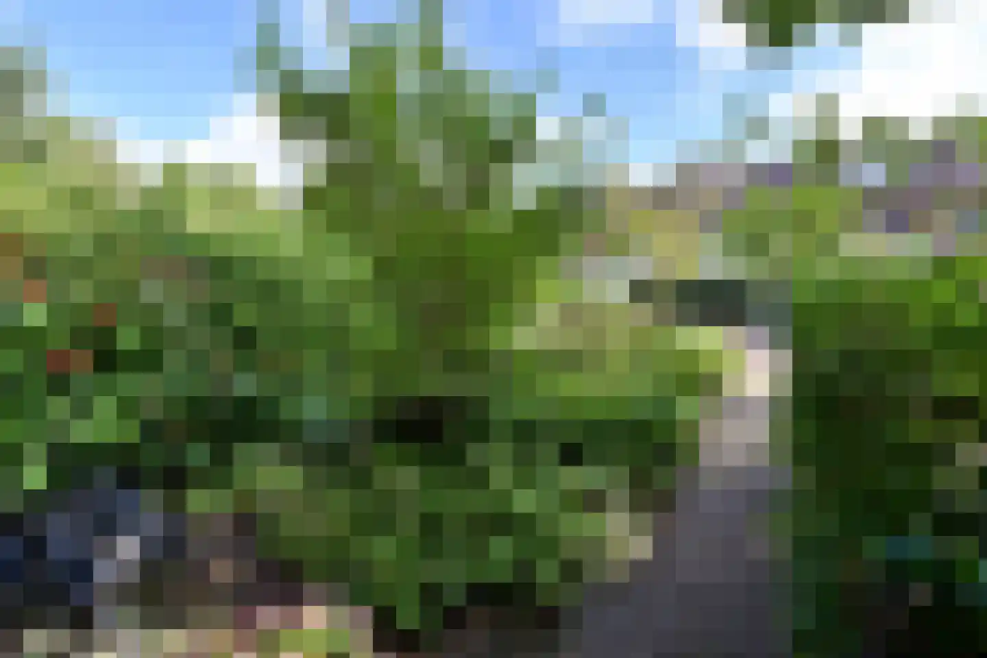 Wielewaallaan 6 Bussum thumbnail 21