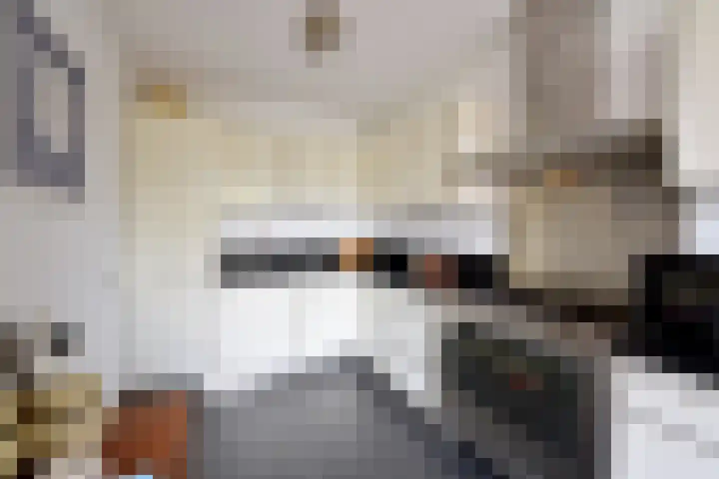 Wielewaallaan 6 Bussum thumbnail 9