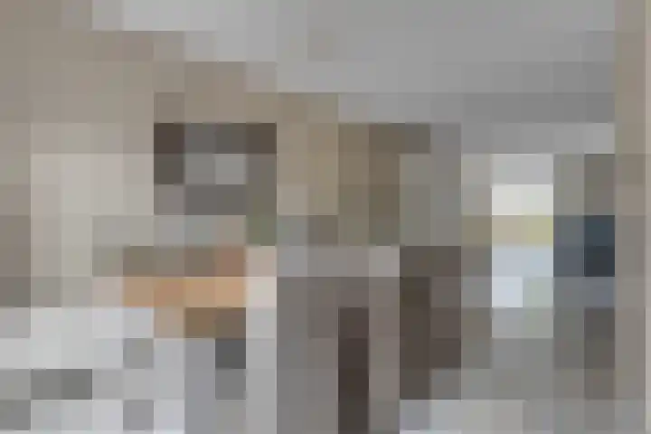 Wielewaallaan 6 Tiel thumbnail 10