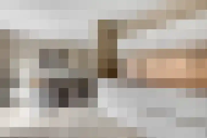 Wielewaallaan 6 Tiel thumbnail 12