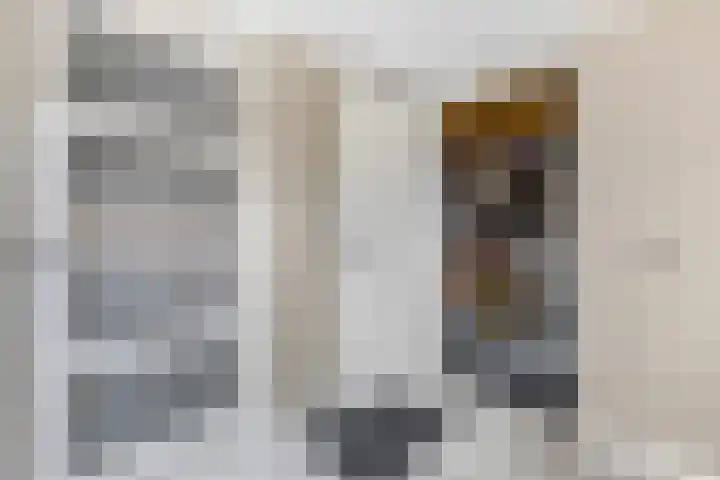 Wielewaallaan 6 Tiel thumbnail 16