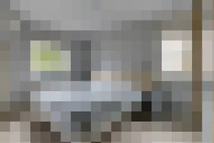 Wielewaallaan 6 Tiel thumbnail 20