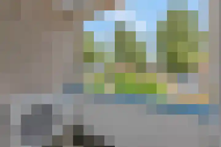 Wielewaallaan 6 Tiel thumbnail 23