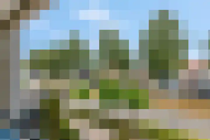 Wielewaallaan 6 Tiel thumbnail 26