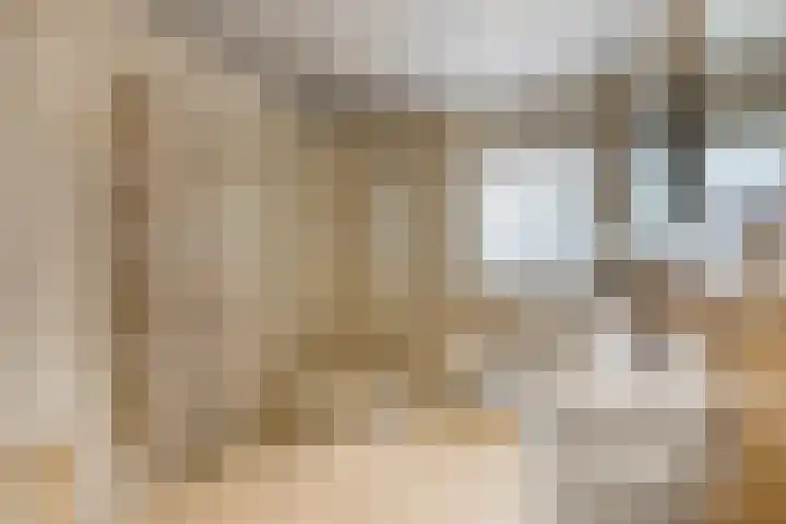 Wielewaallaan 6 Tiel thumbnail 29
