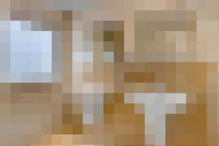 Wielewaallaan 6 Tiel thumbnail 30