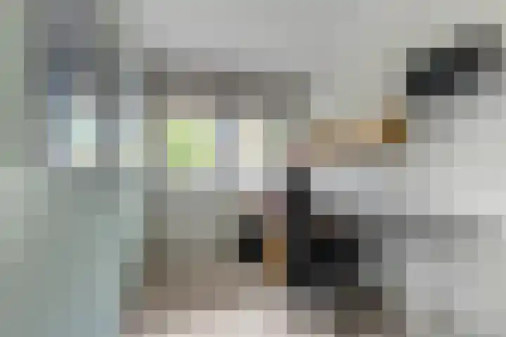 Wielewaallaan 6 Tiel thumbnail 36