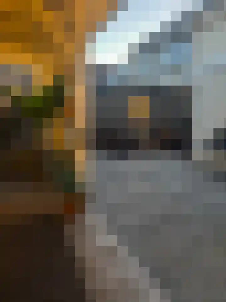 Wielewaallaan 6 Tiel thumbnail 50