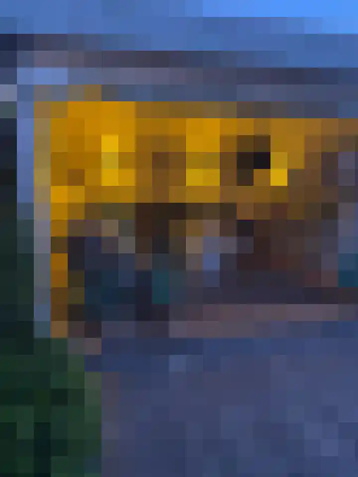Wielewaallaan 6 Tiel thumbnail 51