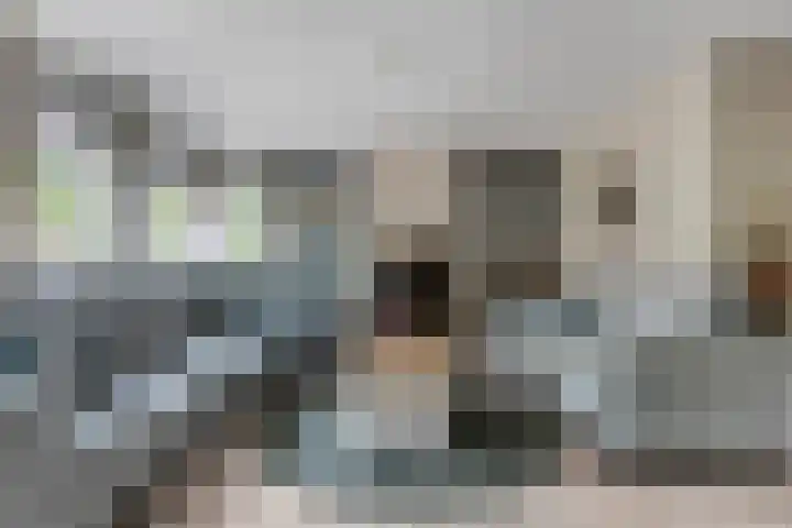 Wielewaallaan 6 Tiel thumbnail 7