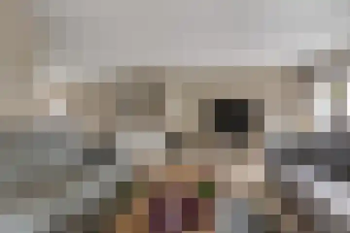 Wielewaallaan 6 Tiel thumbnail 8