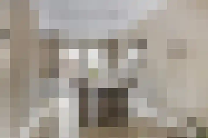 Wielewaallaan 6 Tiel thumbnail 9
