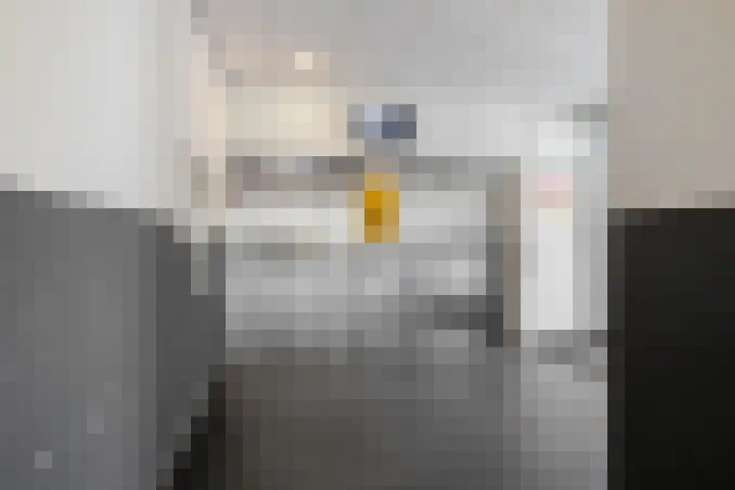 Wielewaalplein 244 Groningen thumbnail 10