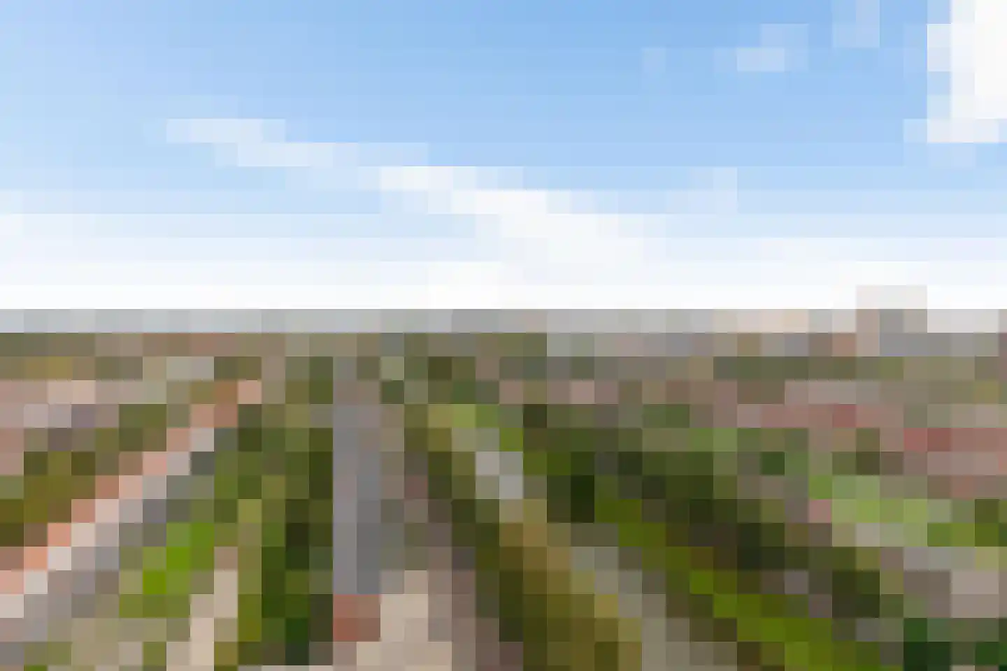 Wielewaalplein 244 Groningen thumbnail 19