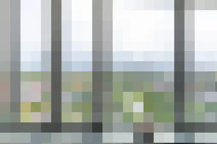 Wielewaalplein 246 Groningen thumbnail 18