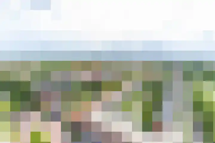 Wielewaalplein 246 Groningen thumbnail 19
