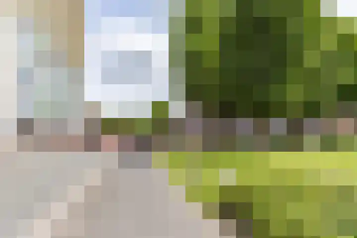 Wielewaalplein 246 Groningen thumbnail 27