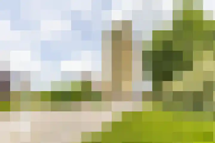 Wielewaalplein 246 Groningen thumbnail 28