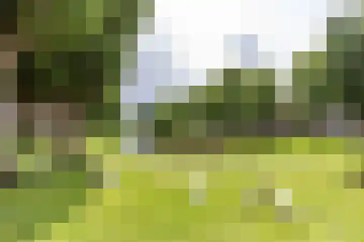Wielewaalplein 246 Groningen thumbnail 29
